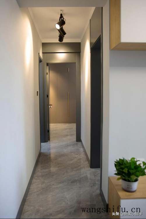 千兔耳（千兔耳多肉植物图片）