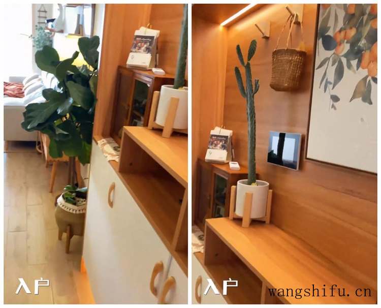 床垫甲醛多久可散发完（胶水床垫甲醛多久可散发完）