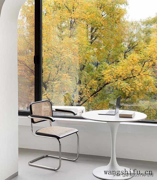 石斛兰（石斛兰的养殖方法和注意事项）