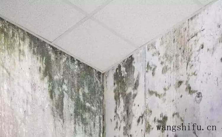 为什么大多数人都选择装修公司，不选游击队，以我的血泪史告诉你 旧房翻新 第9张 为什么大多数人都选择装修公司，不选游击队，以我的血泪史告诉你 旧房翻新 粉刷匠第9张