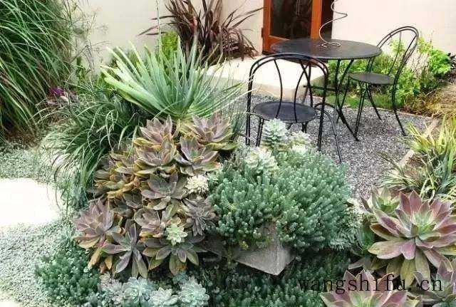 20㎡小院如何装修?推荐几个小庭院设计案例,有你喜欢的那款吗 20㎡小院如何装修?推荐几个小庭院设计案例,有你喜欢的那款吗