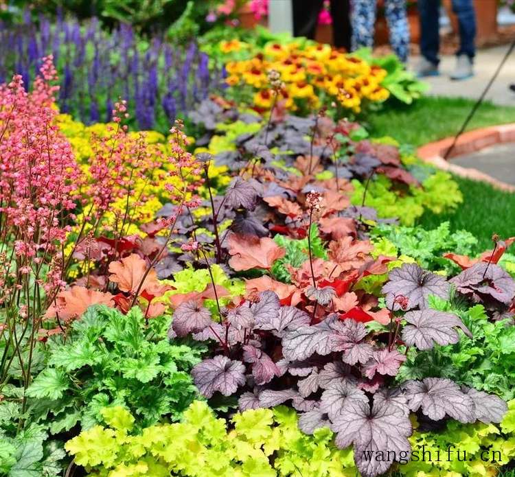 20㎡小院如何装修?推荐几个小庭院设计案例,有你喜欢的那款吗 20㎡小院如何装修?推荐几个小庭院设计案例,有你喜欢的那款吗