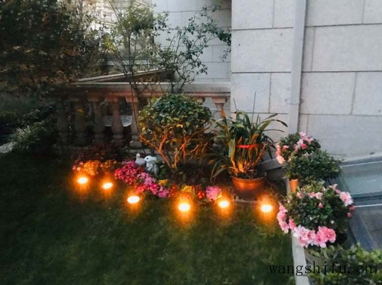 20㎡小院如何装修?推荐几个小庭院设计案例,有你喜欢的那款吗 20㎡小院如何装修?推荐几个小庭院设计案例,有你喜欢的那款吗