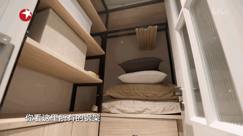 牵牛花(牵牛花图片大全大图) 牵牛花(牵牛花图片大全大图)