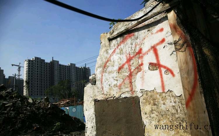 莲花掌（莲花掌的养殖方法和注意事项）