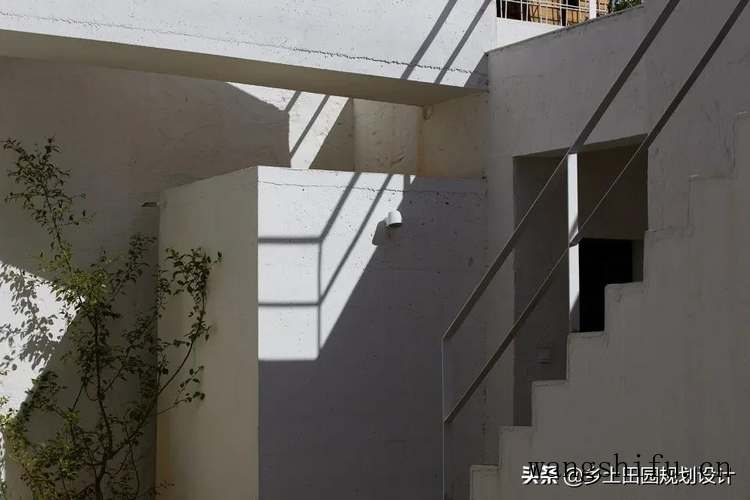 墙衣什么好呀? 墙衣什么好呀?