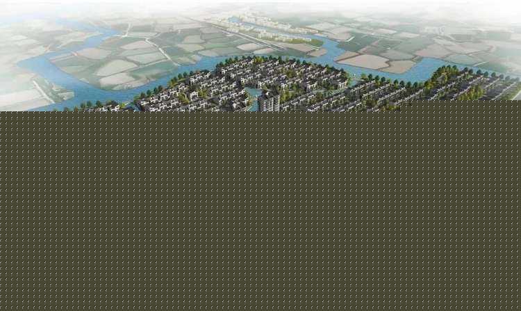 哪个属相旺牛（哪个属相旺牛发财）