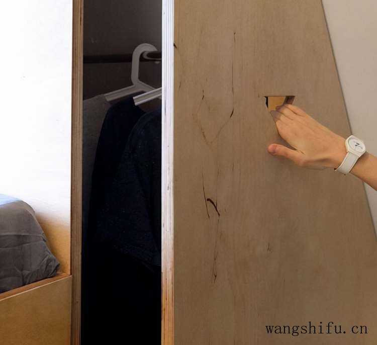 粉菠萝(粉菠萝多少钱) 粉菠萝(粉菠萝多少钱)