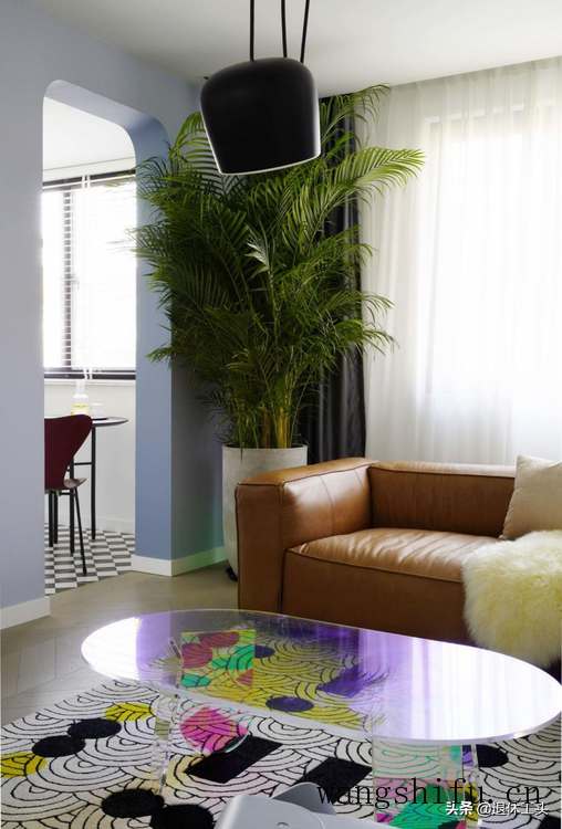 花叶木薯(花叶木薯的功效与作用) 花叶木薯(花叶木薯的功效与作用)