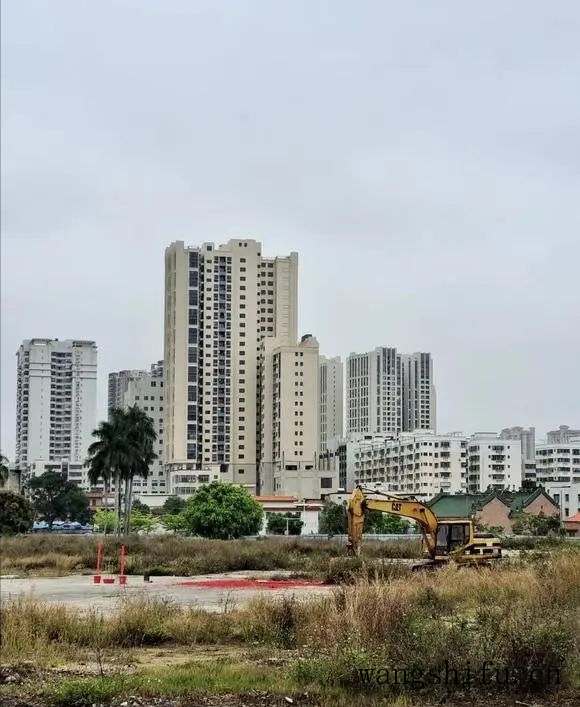 为了家人健康我选择墙衣 为了家人健康我选择墙衣