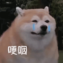 墙面粉刷面积如何计算