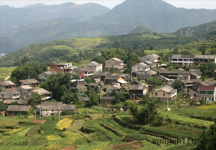 贝壳粉涂料缺点?贝壳粉涂料选购技巧?