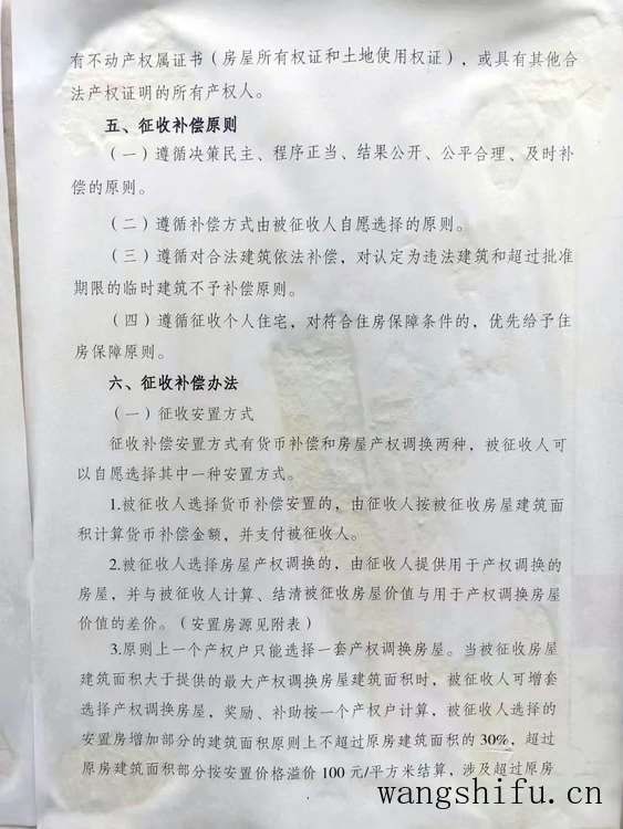 红掌（红掌的养殖方法和注意事项）