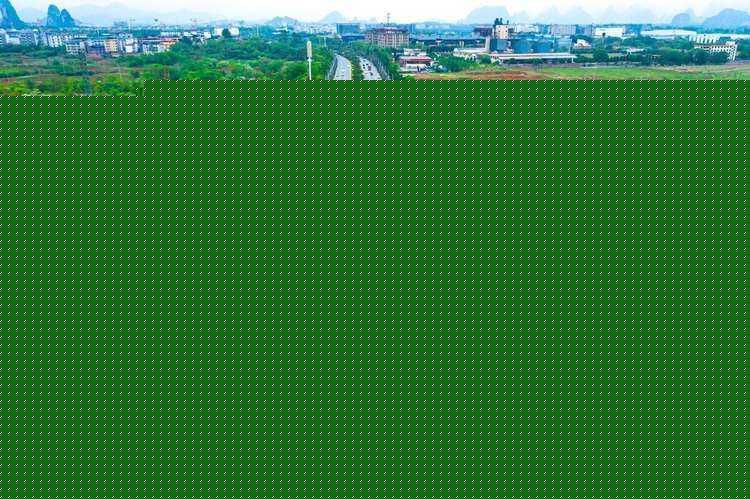 一品红(一品红人小说免费阅读全文) 一品红(一品红人小说免费阅读全文)