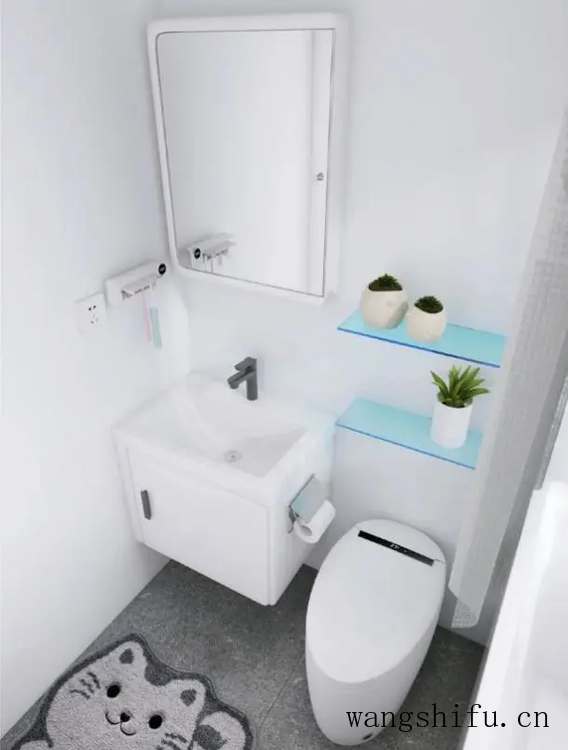 蜀葵(蜀葵花图片) 蜀葵(蜀葵花图片)