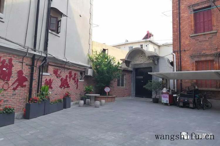 狗舌草（狗舌草的功效与作用图片）