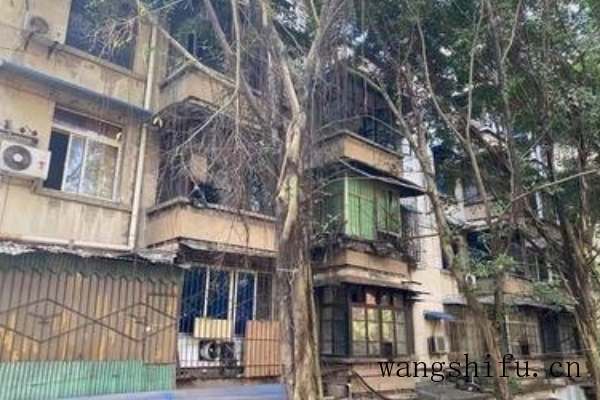 互补色对比色（互补色对比色邻近色）