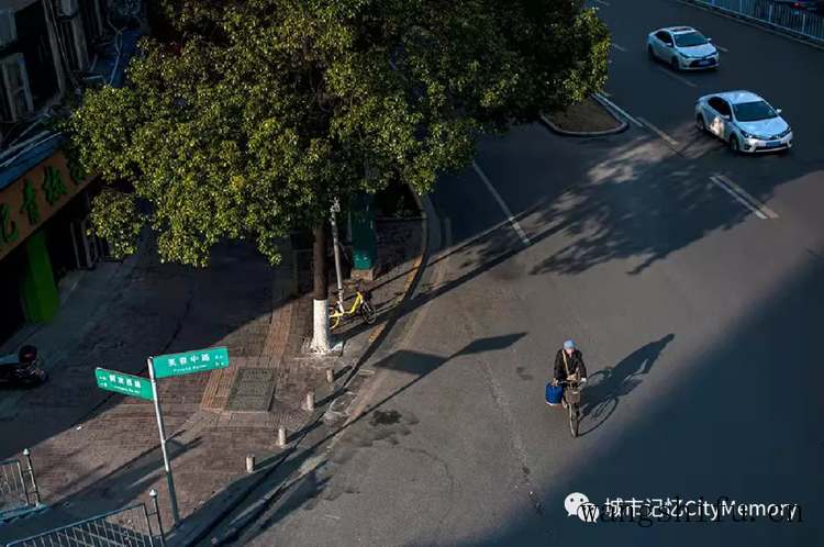 紫藤花（紫藤花的花语和寓意）