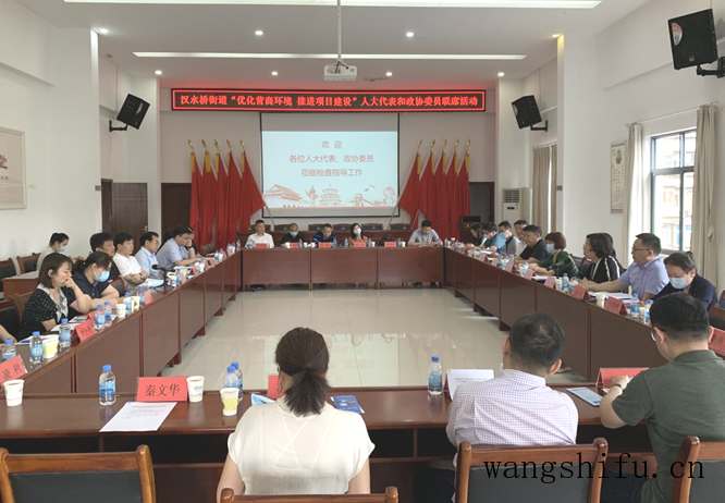 汉水桥街道开展“优化营商环境，推进项目建设”人大代表和政协委员联席活动