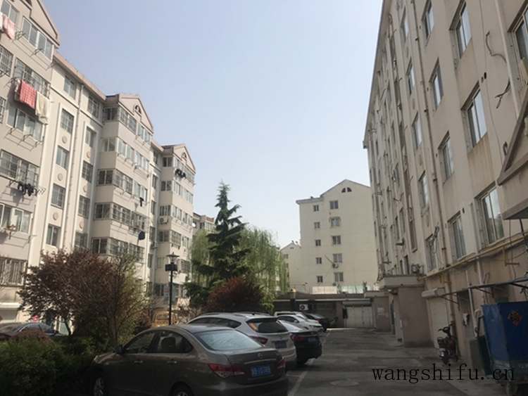 花叶万年青（花叶万年青的养殖方法和注意事项）