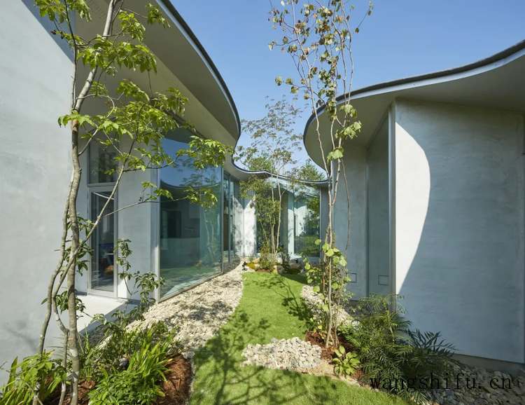 熏香精油(熏香精油对人体有害吗) 熏香精油(熏香精油对人体有害吗)