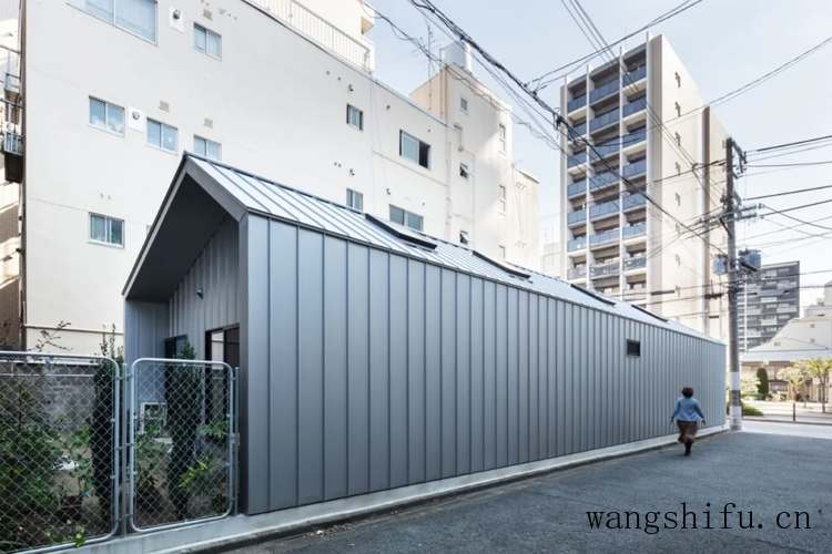 什么是非洲风格（什么是非洲风格建筑）