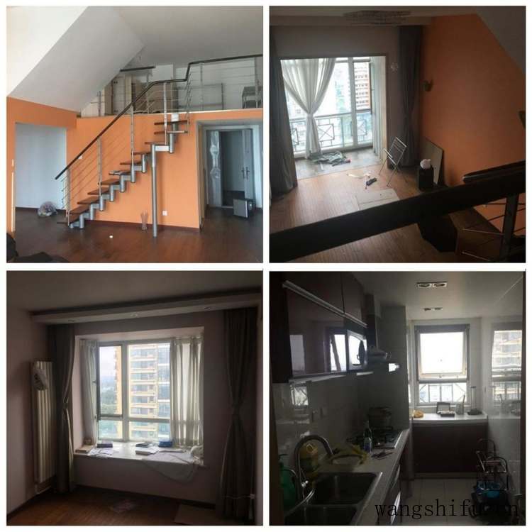 十字星锦（十字星锦多肉怎么养）