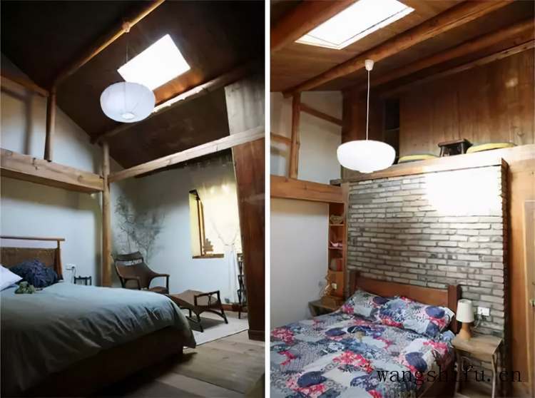 吉娃莲（吉娃莲的养殖方法和注意事项）