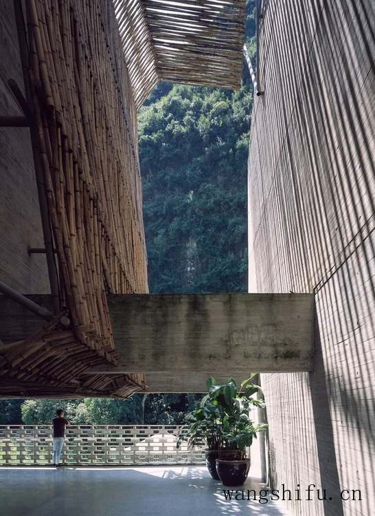 黄雪光（黄雪光仙人球）