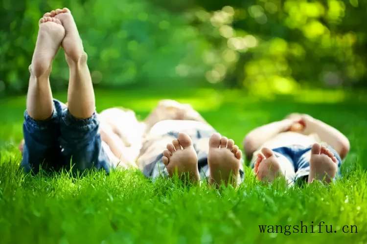 贵妃床（贵妃床沙发图片）