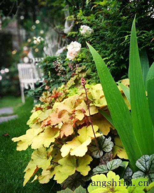 肌理涂料施工方法与注意事项