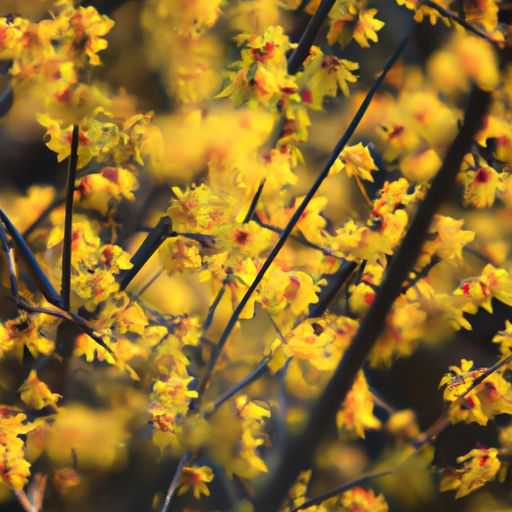 哪个牌子台式电脑好用(哪个牌子台式电脑好用又实惠) 哪个牌子台式电脑好用(哪个牌子台式电脑好用又实惠)