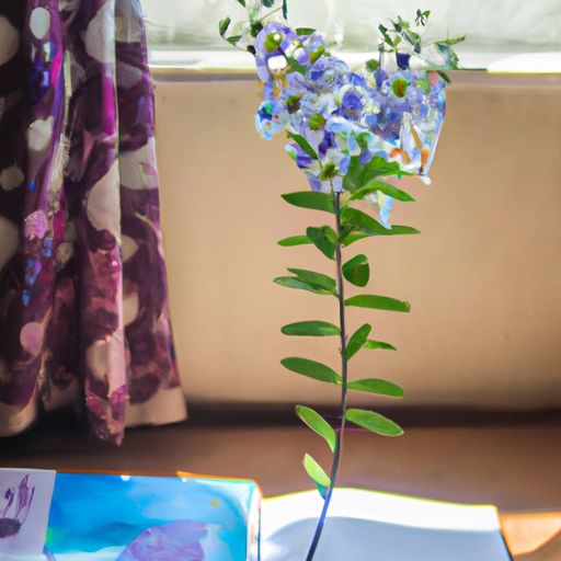 富安娜和紫罗兰哪个好