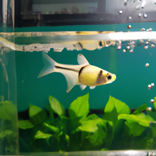 干燥秋季装修易致墙体破裂 教你应对小妙招