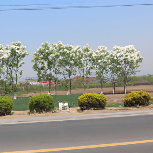 沁春园三村在哪个路上