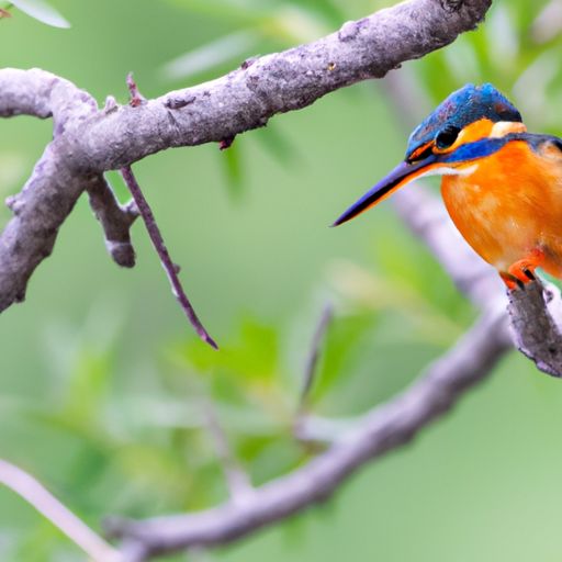松下浴霸 松下浴霸