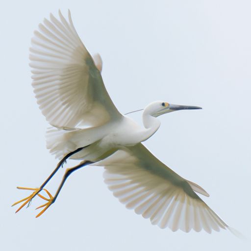 新飞浴霸 新飞浴霸