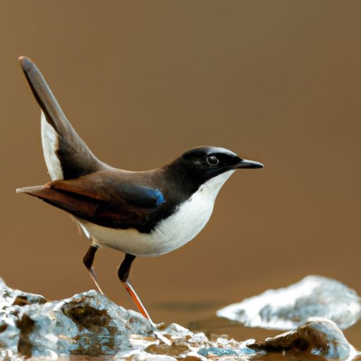 西门子浴霸 西门子浴霸