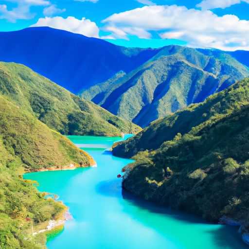 睡莲和荷花哪个好（睡莲和荷花哪个好养）