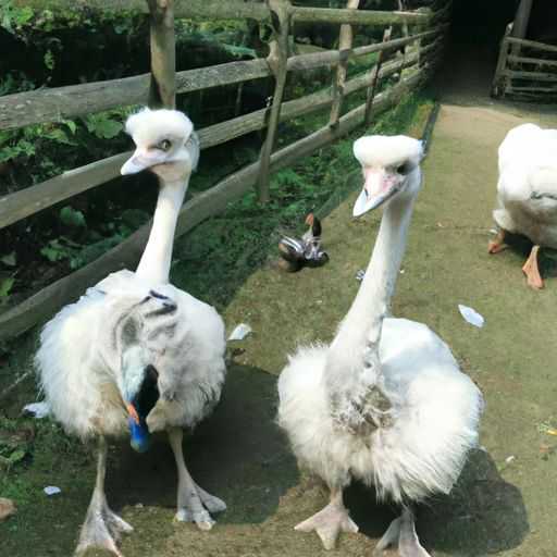 卡片机是什么意思 卡片机是什么意思