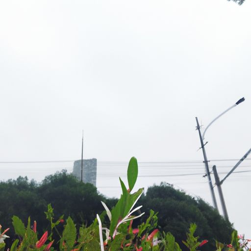 无刷有刷哪个好用