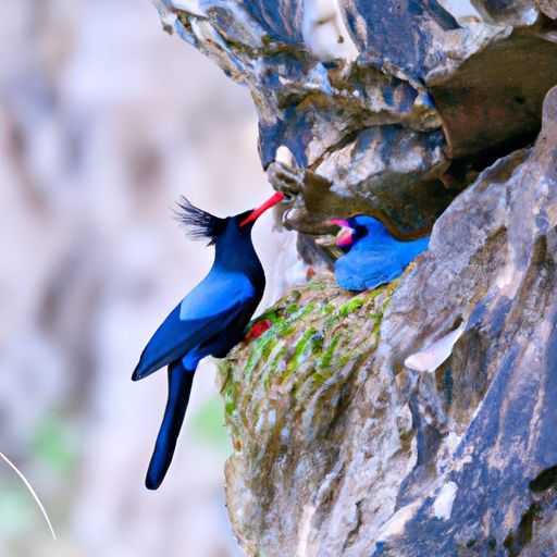 莱恩斯和美巢哪个好