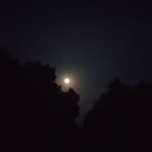 明月和皓众哪个好