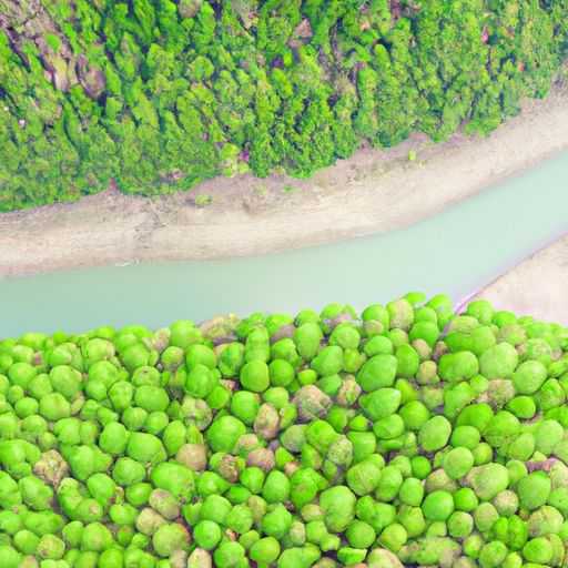 环氧树脂地坪漆 环氧树脂地坪漆