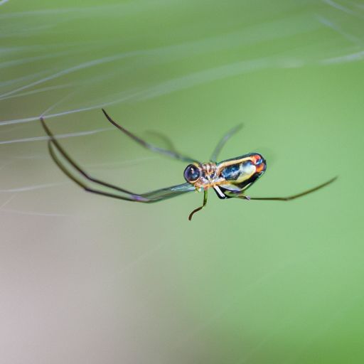 二手房墙面翻新注意事项都有哪些 二手房墙面翻新注意事项都有哪些