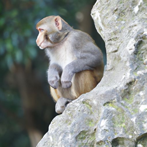 壁纸与壁布有什么区别？