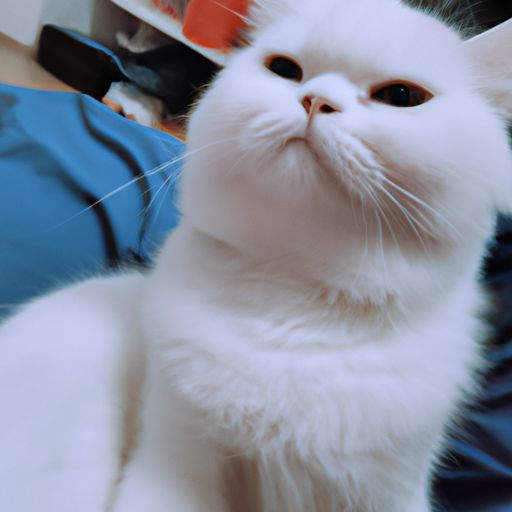 碧荷庭在哪个学校（碧荷庭二期什么时候开工）