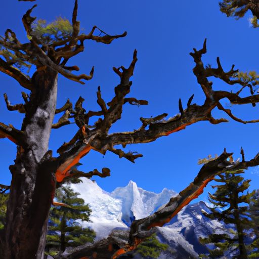 大金松下格力哪个好 大金松下格力哪个好