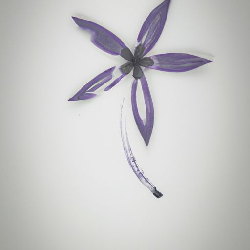 一帆风顺花图片