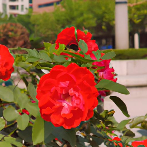 都乐士跟都芳哪个好